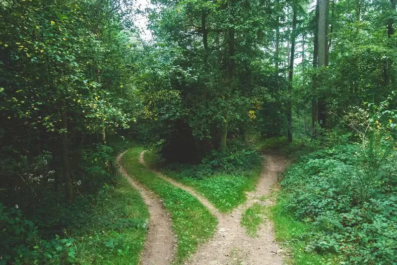 two roads diverged...
